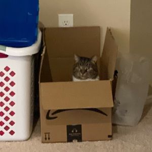 Meet your Posher, Penelope.